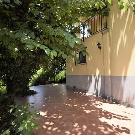 Villa Anna ماسكالي المظهر الخارجي الصورة